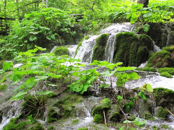 Plitvice 3