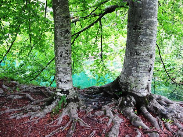 Plitvice 6