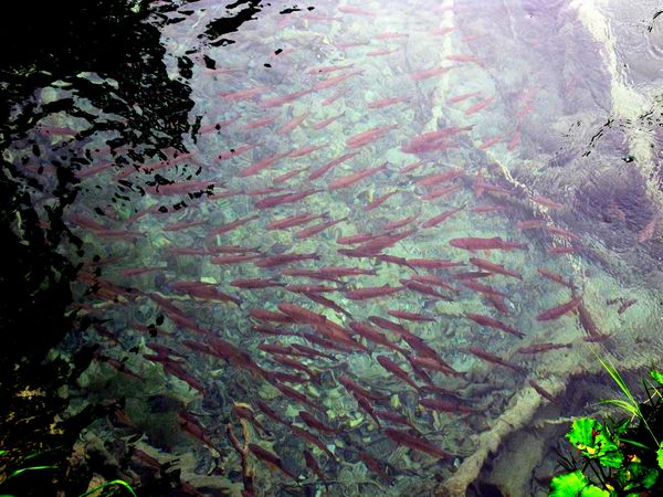 Plitvice 9