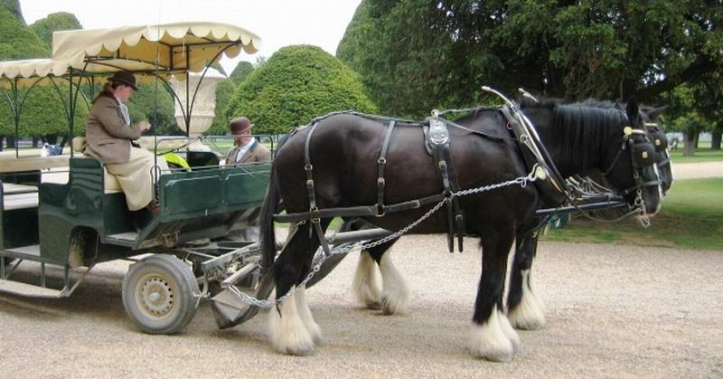 carrozza