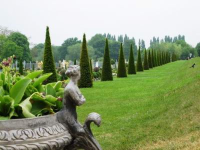 veduta del giardino