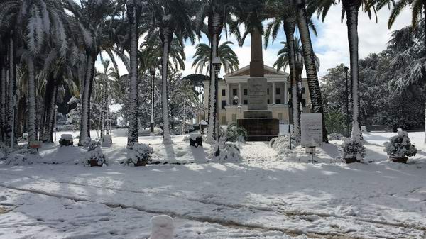 Neve 2