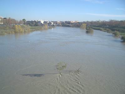 tevere 2