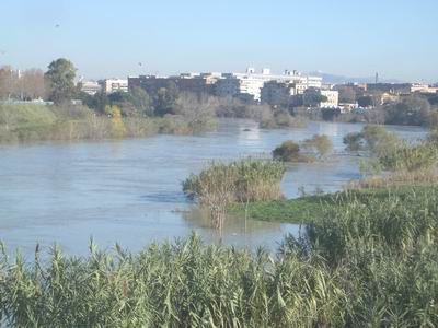 tevere 3