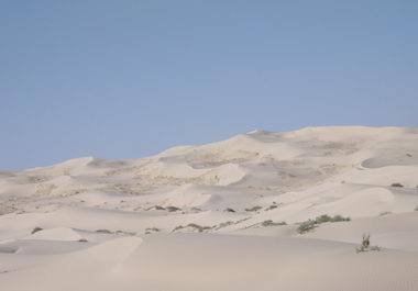 dune