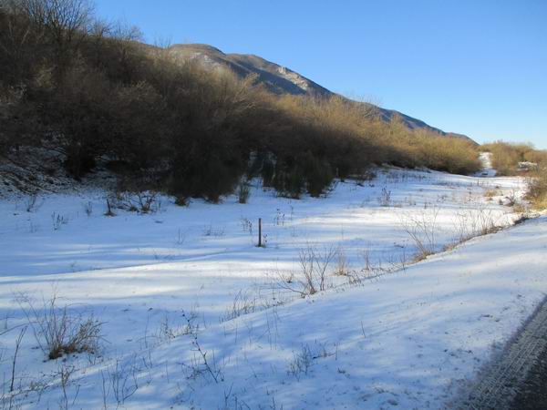 neve
