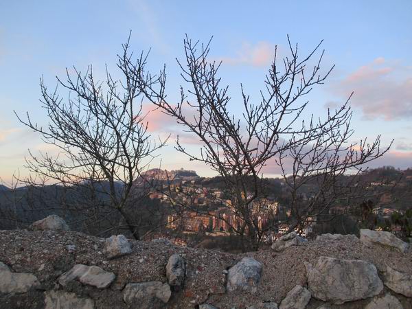 paese