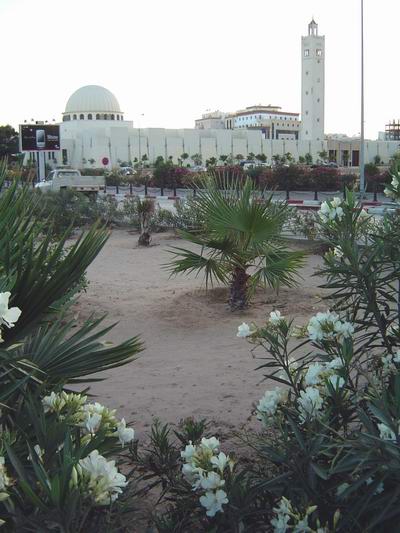 Moschea