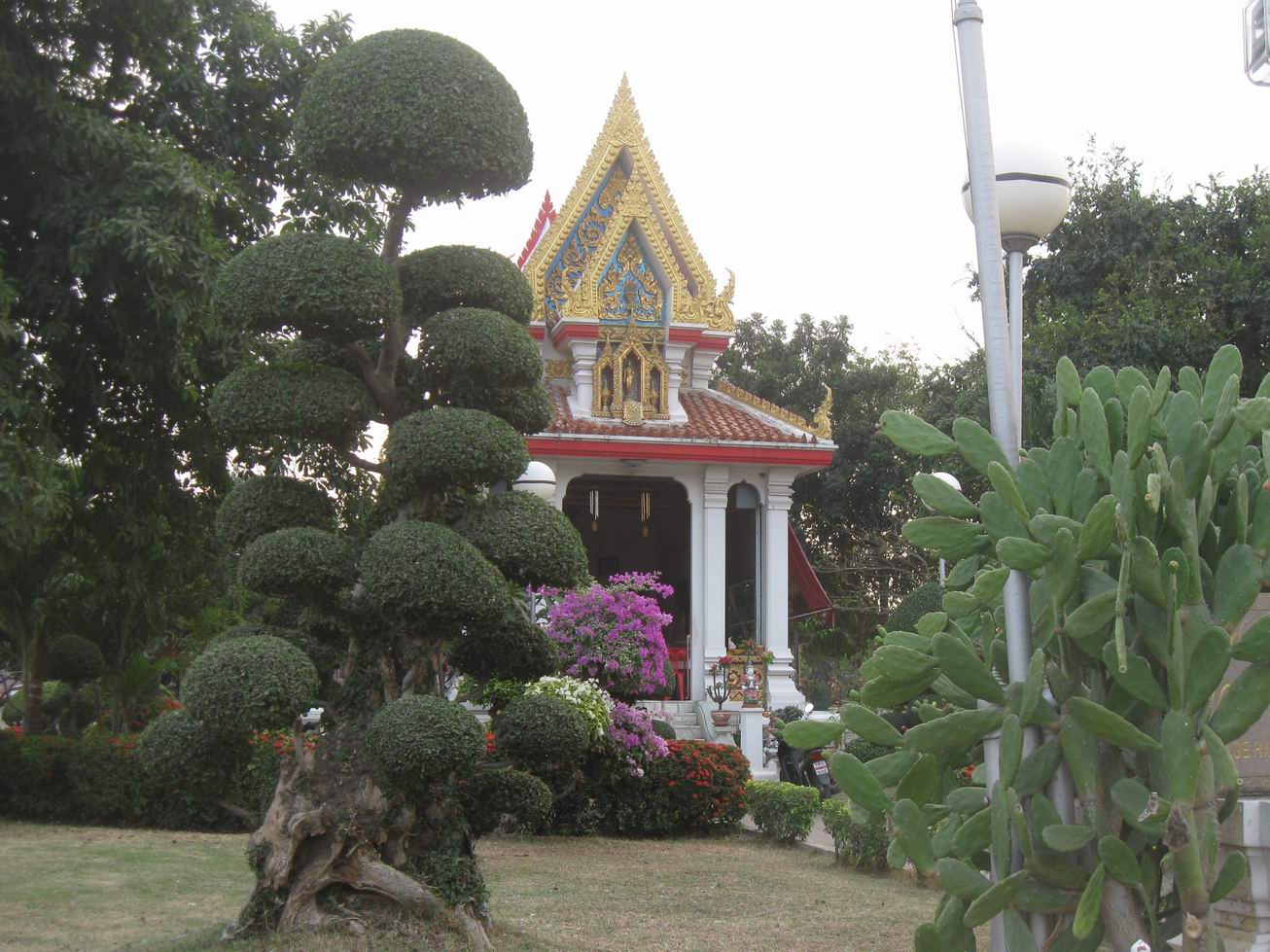 Giardino