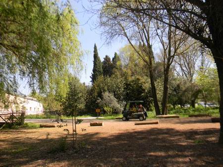 hortus urbis